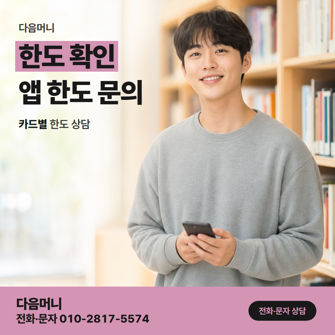 다음머니 포항카드깡 카드사 앱 조회 화면